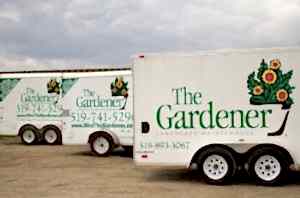 landscape maintenance franchise