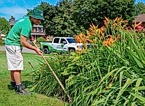 Summer-2016-Gardening-Shoot-176-FixBurntGrass